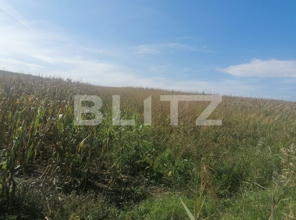 Teren de vânzare Miroslava - 98656TV | BLITZ Iași | Poza2