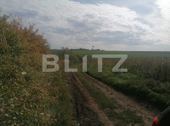 Teren de vânzare Miroslava - 98656TV | BLITZ Iași | Poza4