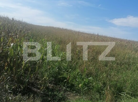 Teren de vânzare Miroslava - 98656TV | BLITZ Iași | Poza3