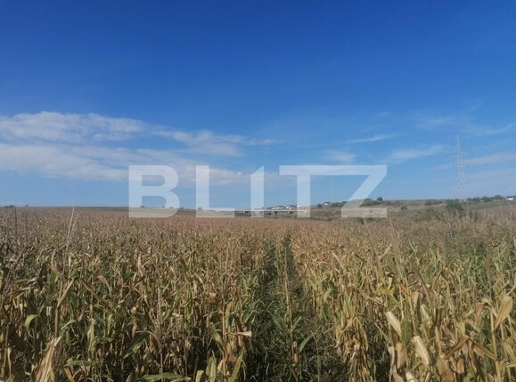 Teren de vânzare Miroslava - 98656TV | BLITZ Iași | Poza1