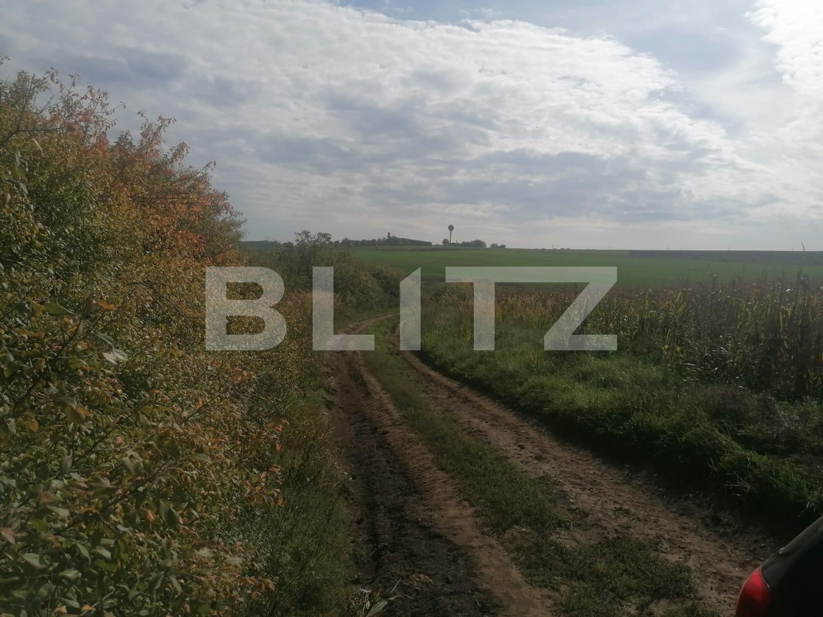 Teren de vânzare Miroslava - 98656TV | BLITZ Iași | Poza4