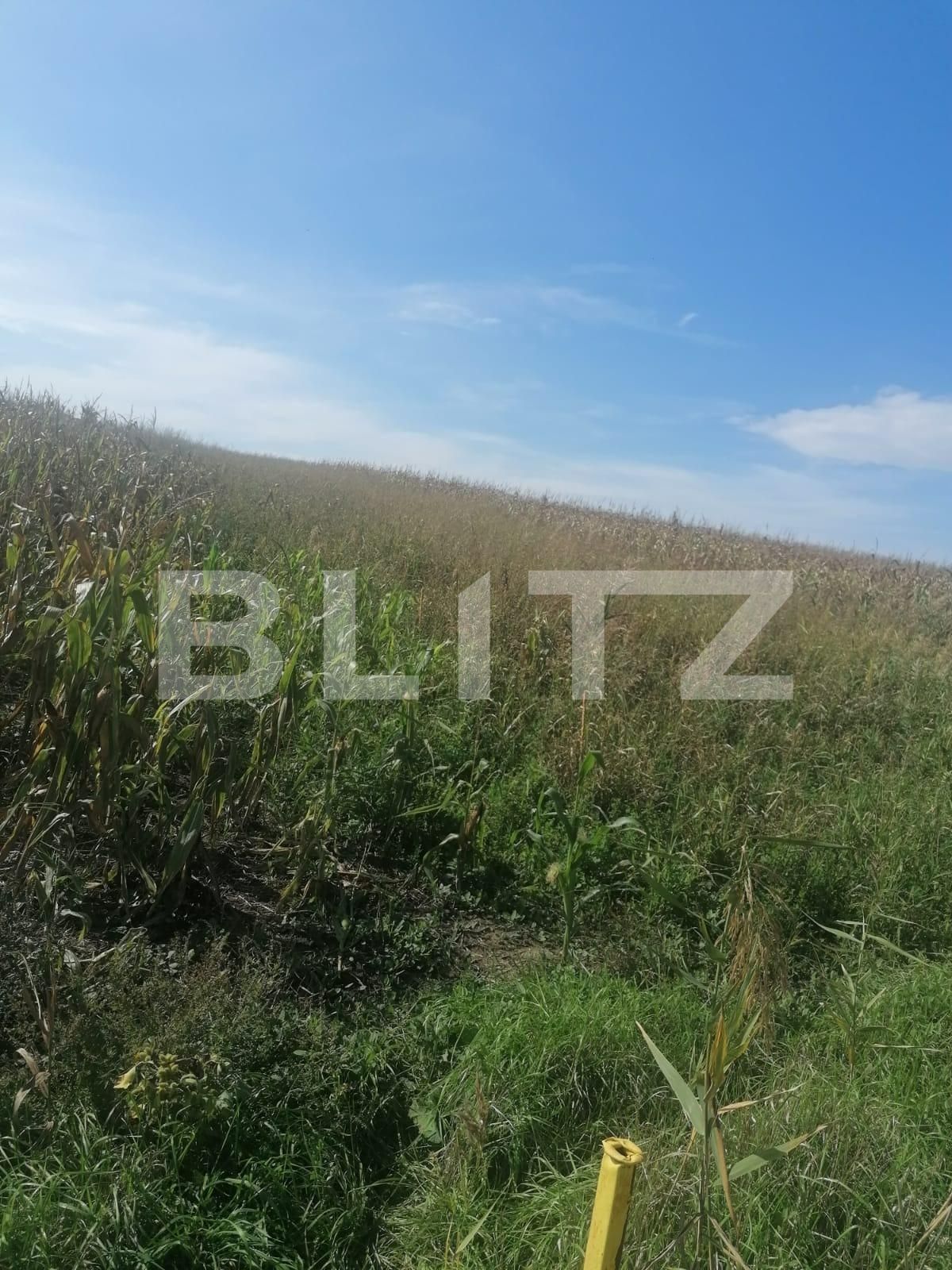 Teren de vânzare Miroslava - 98656TV | BLITZ Iași | Poza3