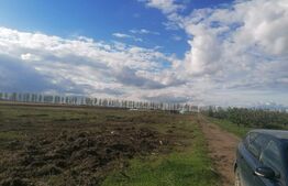 Teren extravilan de 8450 mp, utilitati aproape, Vorovesti