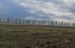 Teren 1500 Vorovesti, vis-a-vis de ferma Liliac