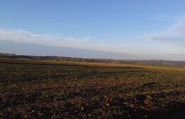 Teren 1,7 ha extravilan, Miroslava