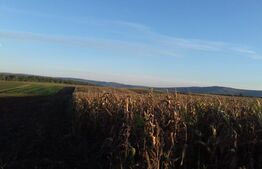 Teren 1,7 ha extravilan, Miroslava