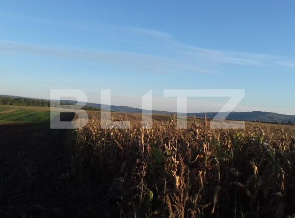 Teren de vânzare Miroslava - 98845TV | BLITZ Iași | Poza1