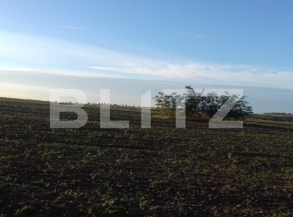 Teren de vânzare Miroslava - 98845TV | BLITZ Iași | Poza2