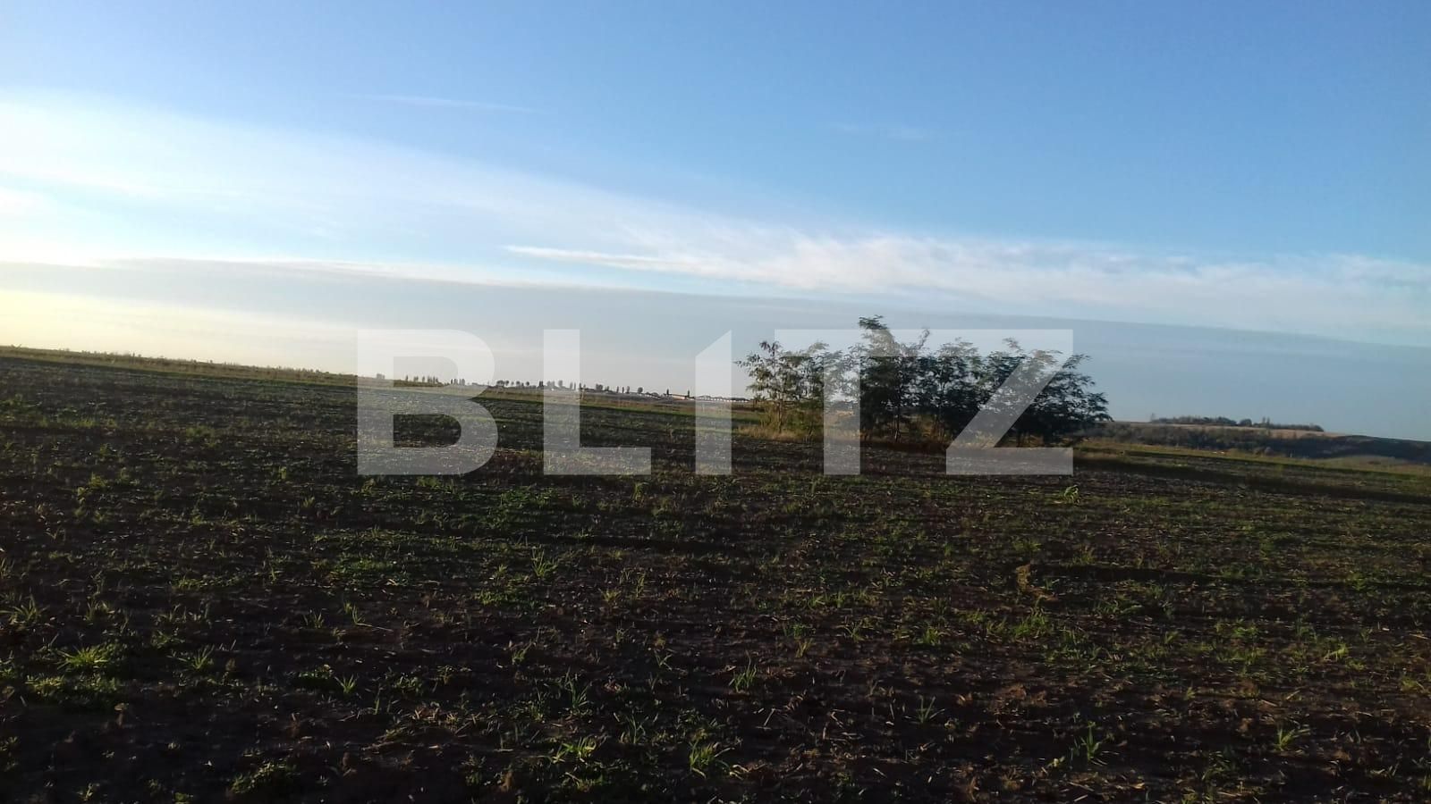 Teren de vânzare Miroslava - 98845TV | BLITZ Iași | Poza2