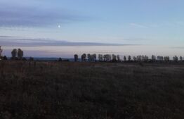 Oferta lunii! Scadere pret -Teren 2200 mp, Vorovesti