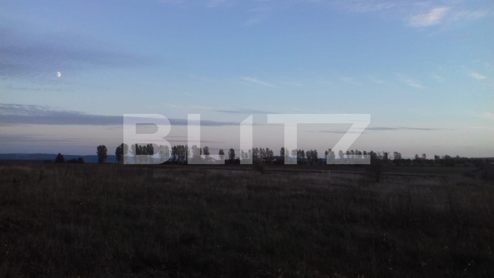 Teren de vânzare Miroslava - 98861TV | BLITZ Iași | Poza2