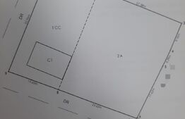 Casa batraneasca, 1379 mp teren, front 41ml, Raducaneni