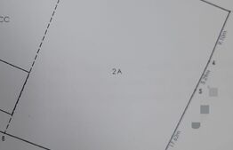 Teren intravilan 1000 mp, front 25.6 ml, Raducaneni