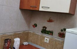 Garsoniera de 24mp, etaj intermediar, zona Pacurari