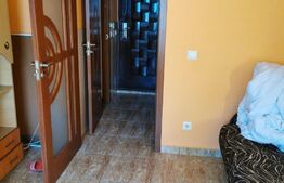 Garsoniera de 24mp, etaj intermediar, zona Pacurari