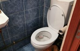 Garsoniera de 24mp, etaj intermediar, zona Pacurari