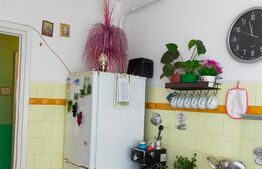 Apartament 3 camere, 70 mp,  Alexandru Cel Bun