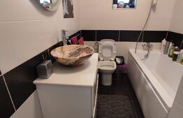 Casa de 93 mp, teren de 460 mp, Valea Ursului