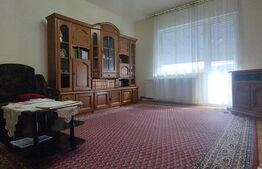 O casă cu poveste și structură solidă, în centrul  Lugojului