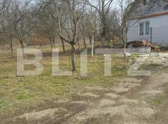 Casa de vânzare 3 camere Nord-Est - 183551CV | BLITZ Lugoj | Poza4