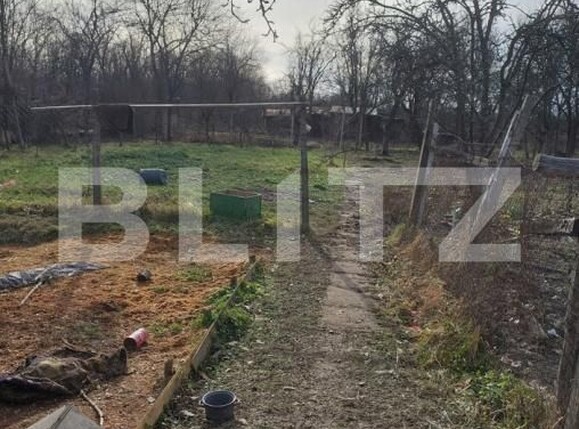 Casa de vânzare 3 camere Nord-Est - 183551CV | BLITZ Lugoj | Poza3