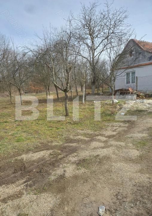 Casa de vânzare 3 camere Nord-Est - 183551CV | BLITZ Lugoj | Poza4