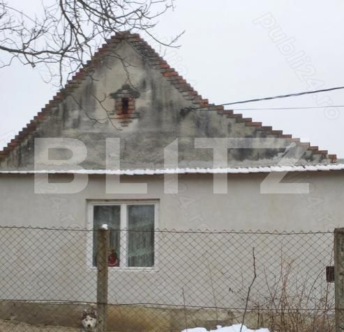 Casa de vânzare 3 camere Nord-Est - 183551CV | BLITZ Lugoj | Poza2