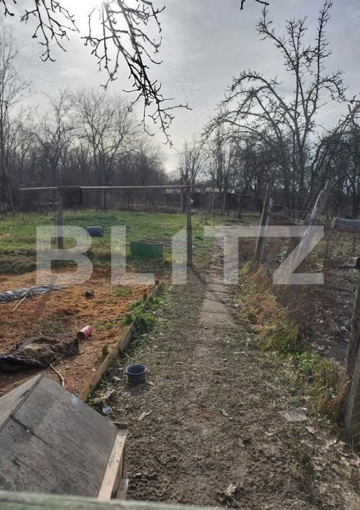 Casa de vânzare 3 camere Nord-Est - 183551CV | BLITZ Lugoj | Poza3
