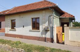 DE VANZARE Casa cu gradina mare în Lugoj