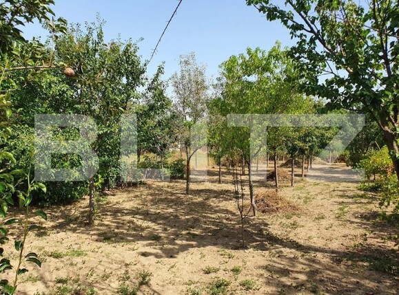 Casa de vânzare 4 camere Nord-Vest - 183861CV | BLITZ Lugoj | Poza3