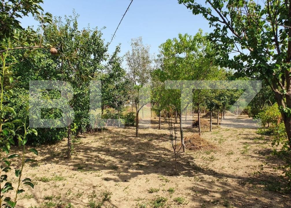 Casa de vânzare 4 camere Nord-Vest - 183861CV | BLITZ Lugoj | Poza3