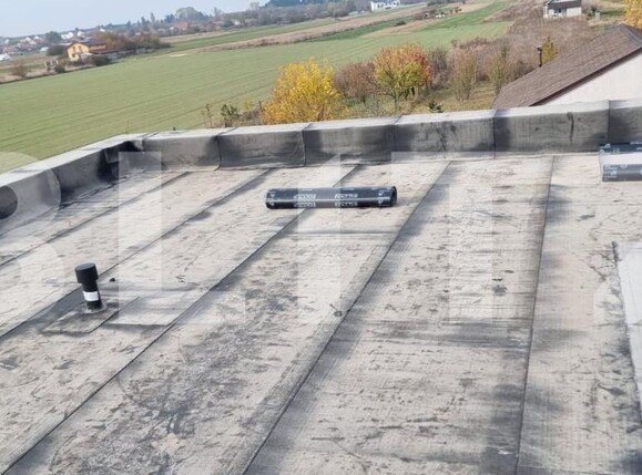 Casa de vânzare 5 camere Nord-Est - 186281CV | BLITZ Lugoj | Poza4