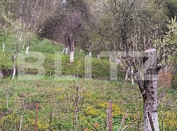 Casa de vânzare 2 camere Nord - 186750CV | BLITZ Lugoj | Poza14