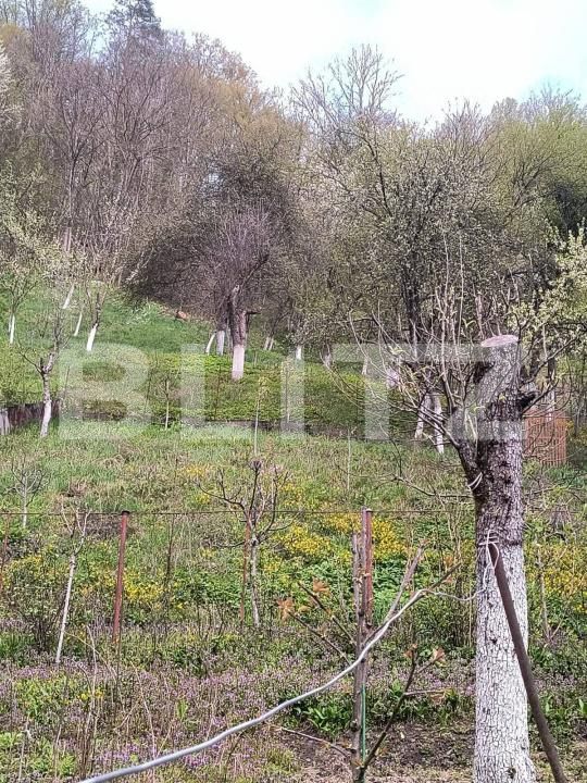 Casa de vânzare 2 camere Nord - 186750CV | BLITZ Lugoj | Poza14