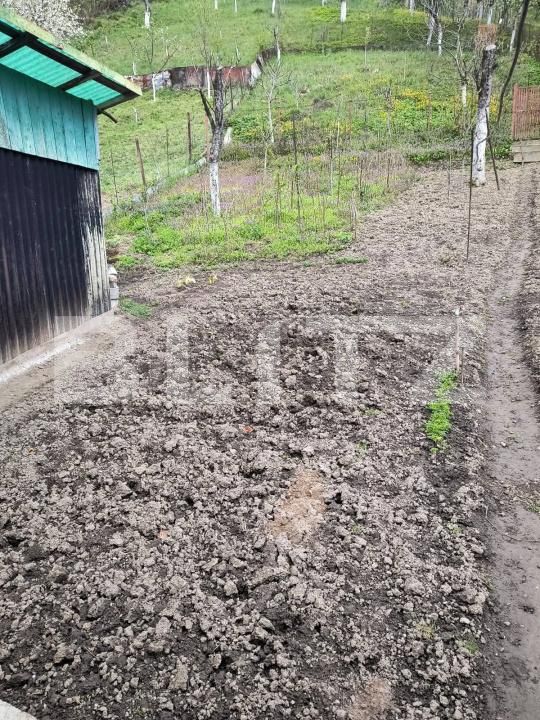 Casa de vânzare 2 camere Nord - 186750CV | BLITZ Lugoj | Poza13