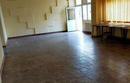 Spatiu comercial de vanzare - Lugoj 