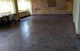 Spatiu comercial de vanzare - Lugoj 