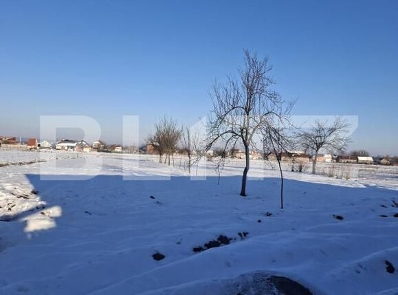 Casa de vânzare 4 camere Nord - 187939CV | BLITZ Lugoj | Poza12