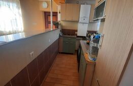 Casa si spatiu comercial de vanzare - Nicolae Titulescu, Lugoj