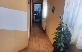 Casa si spatiu comercial de vanzare - Nicolae Titulescu, Lugoj
