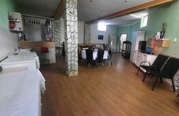Casa si spatiu comercial de vanzare - Nicolae Titulescu, Lugoj