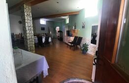 Casa si spatiu comercial de vanzare - Nicolae Titulescu, Lugoj