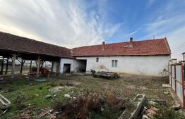 Casa de vanzare, 3 camere, 276 mp - in Cladova, Timis