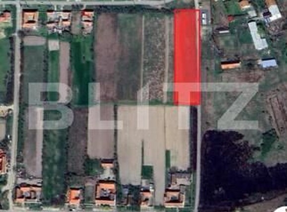 Teren de vânzare Nord-Est - 192543TV | BLITZ Lugoj | Poza2