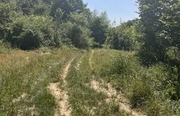 Teren extravilan de vanzare, 2.900 mp, in sat Sintesti, comuna Margina
