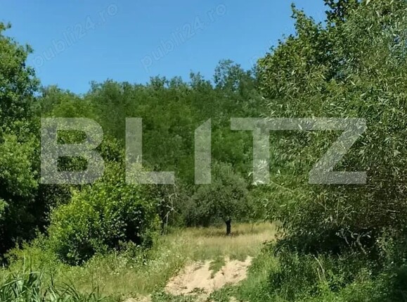 Teren de vânzare Nord - 192550TV | BLITZ Lugoj | Poza4