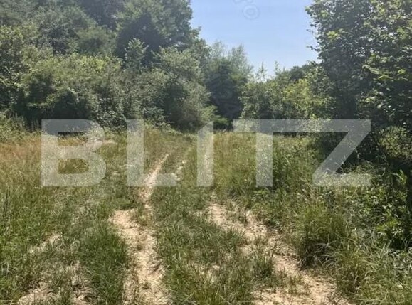 Teren de vânzare Nord - 192550TV | BLITZ Lugoj | Poza2