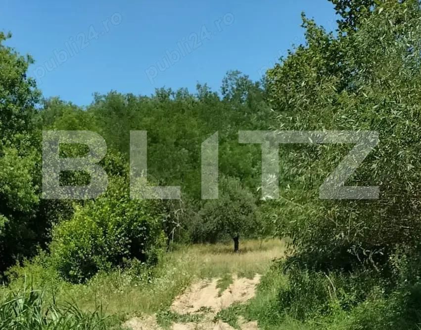 Teren de vânzare Nord - 192550TV | BLITZ Lugoj | Poza4