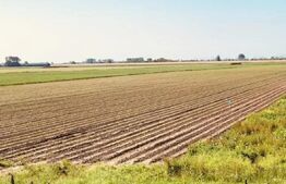 Teren arabil de vanzare, 30.000 mp - Bethausen