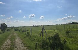 Teren agricol, comasat, apa, curent, 755000 mp, langa autostrada, Timis
